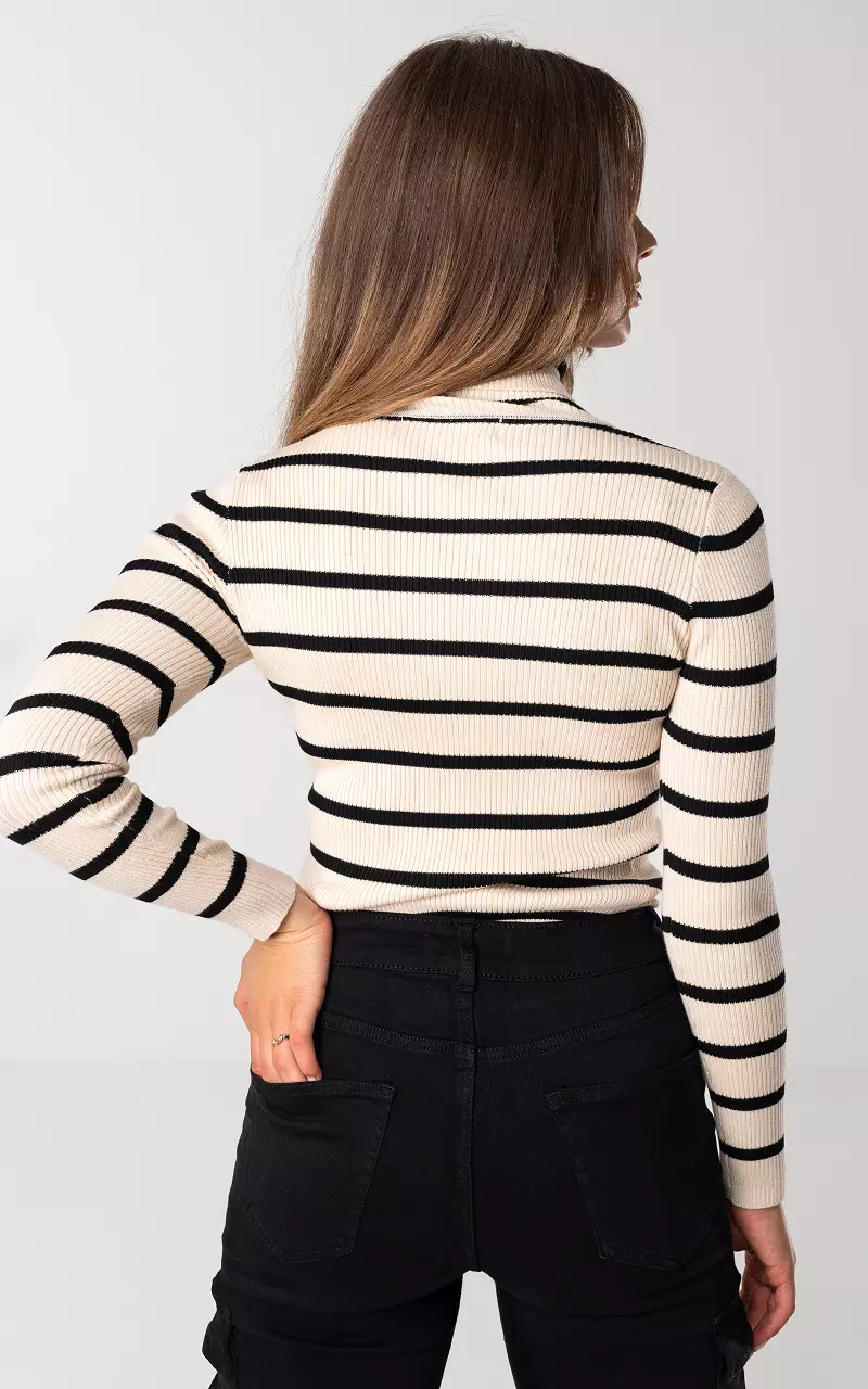 Ribbed turtleneck sweater with stripes - Beige Black