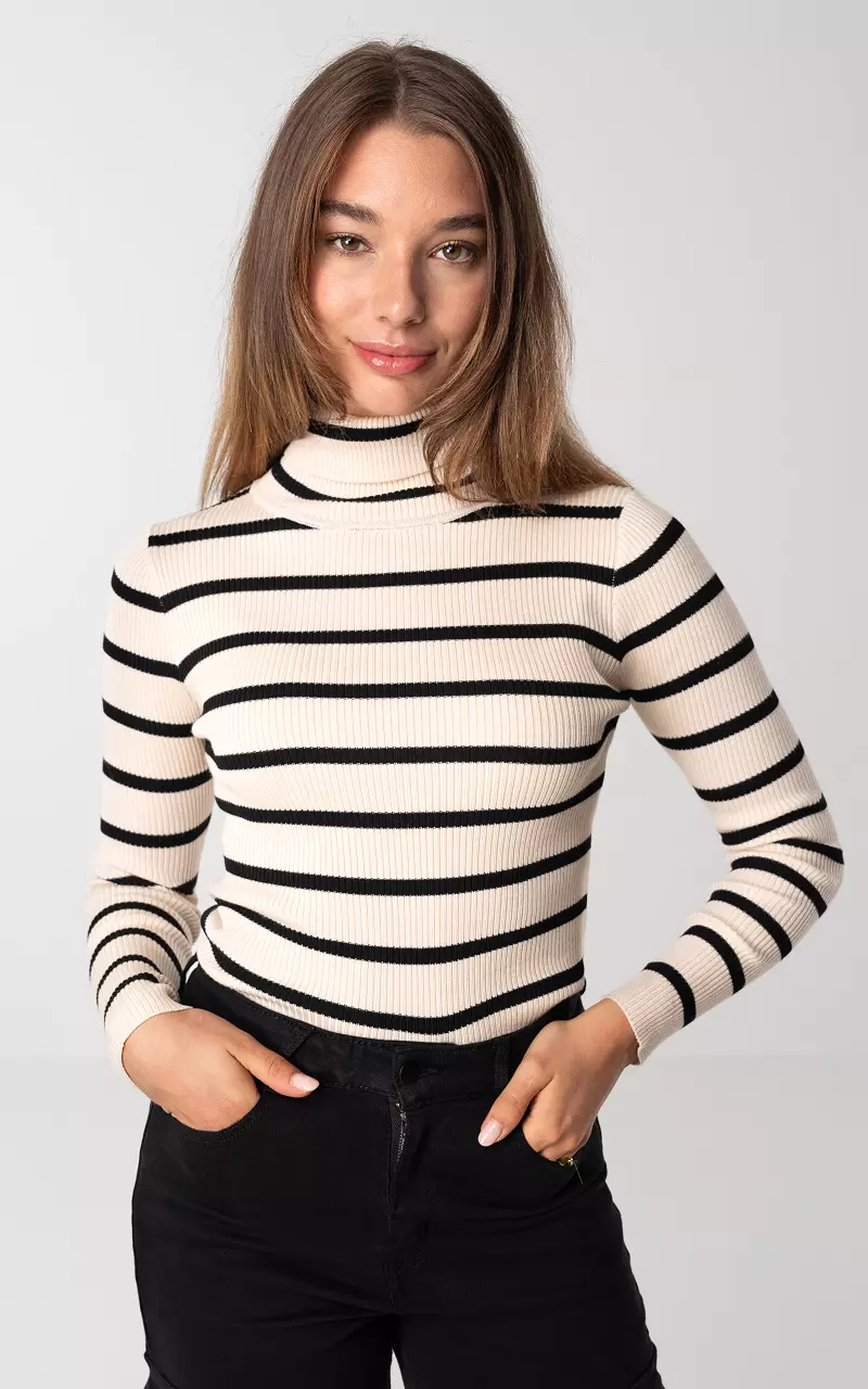 Ribbed turtleneck sweater with stripes - Beige Black