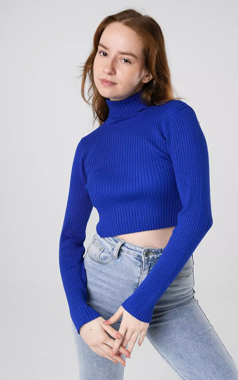 Ribbed Turtle Neck Crop Top Blue