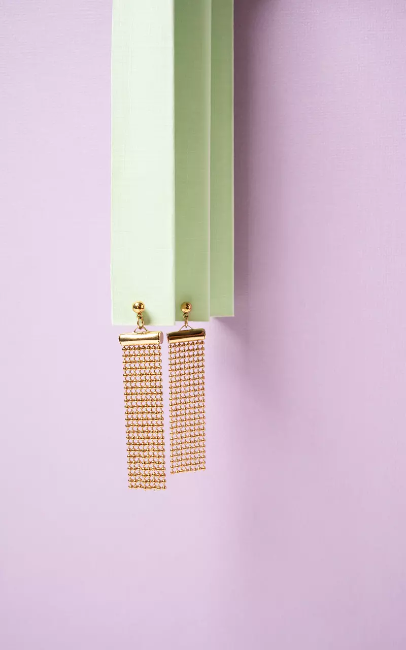 Lange oorbellen van stainless steel Goud