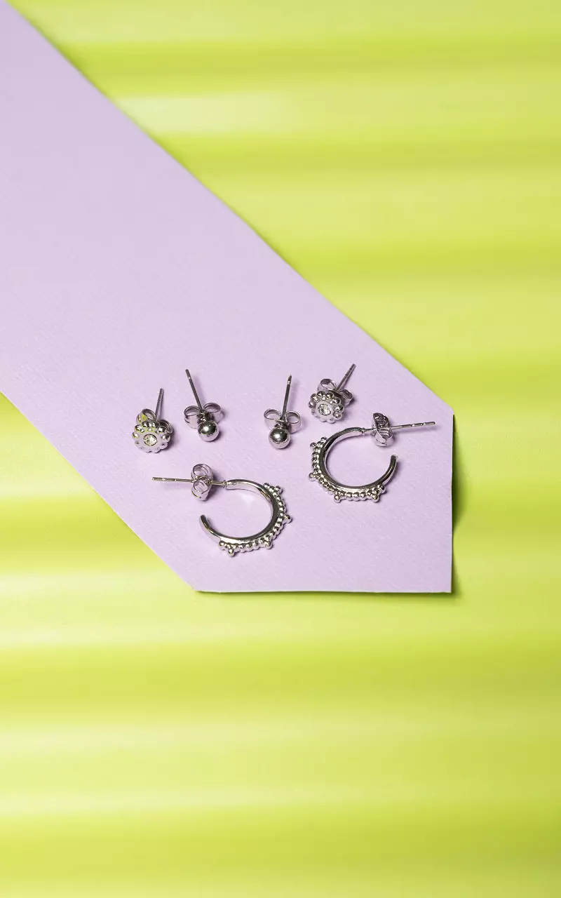 Stainless steel set of earrings Silver