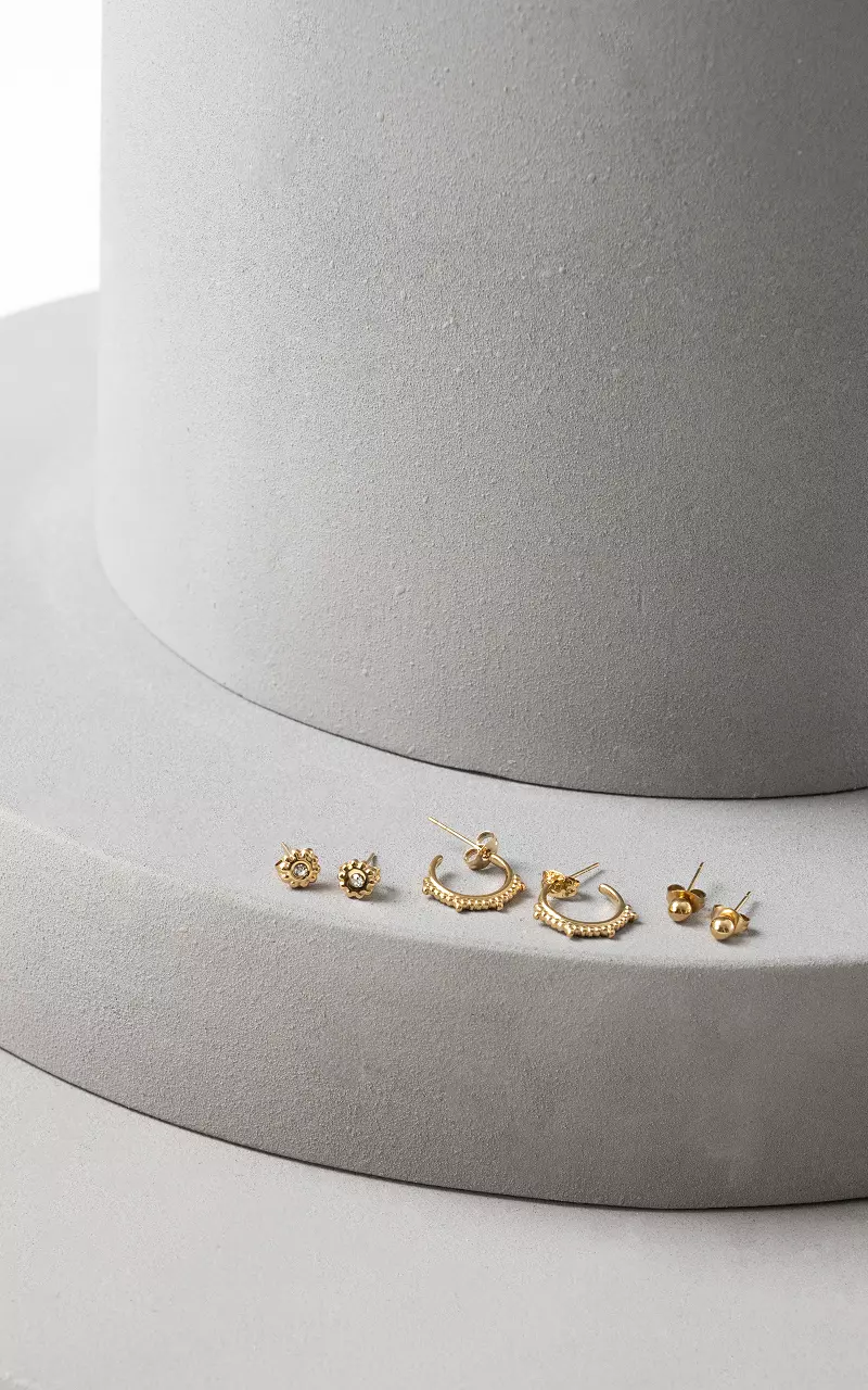 Stainless steel set of earrings Gold