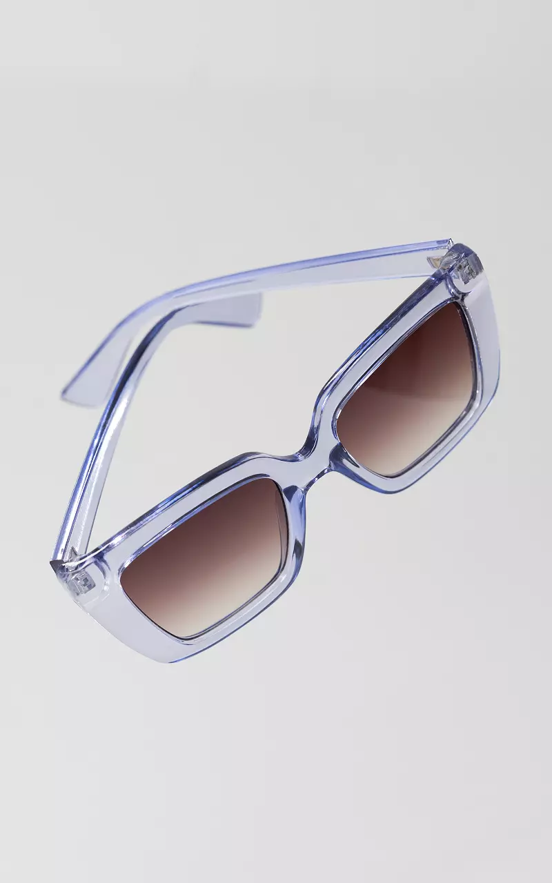 Sonnenbrillen mit polarisierten Gläsern Flieder