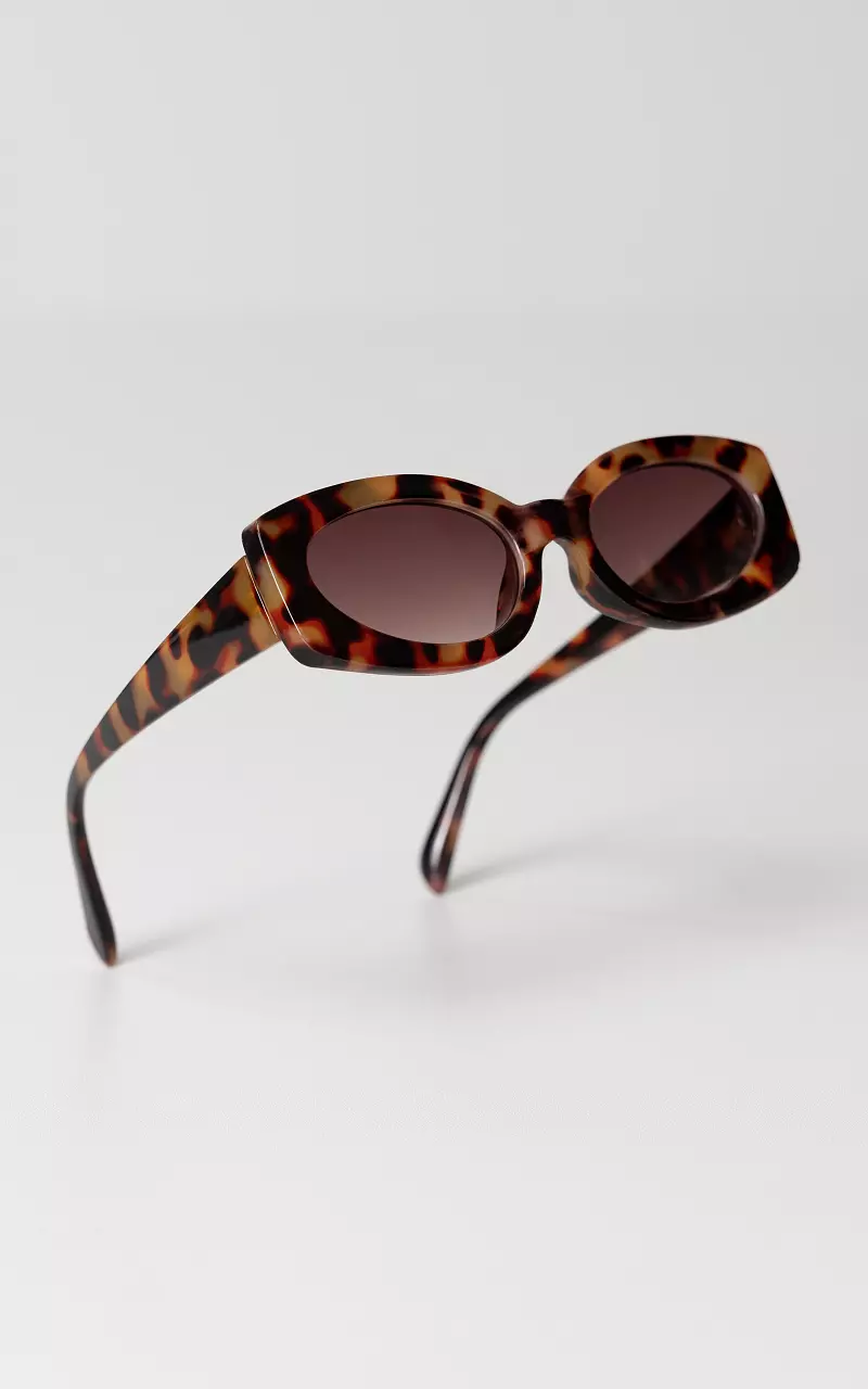 Sonnenbrillen mit polarisierten Gläsern Dunkelbraun