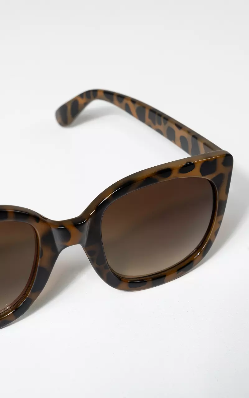 Tortoise brown sunglasses Dark Brown