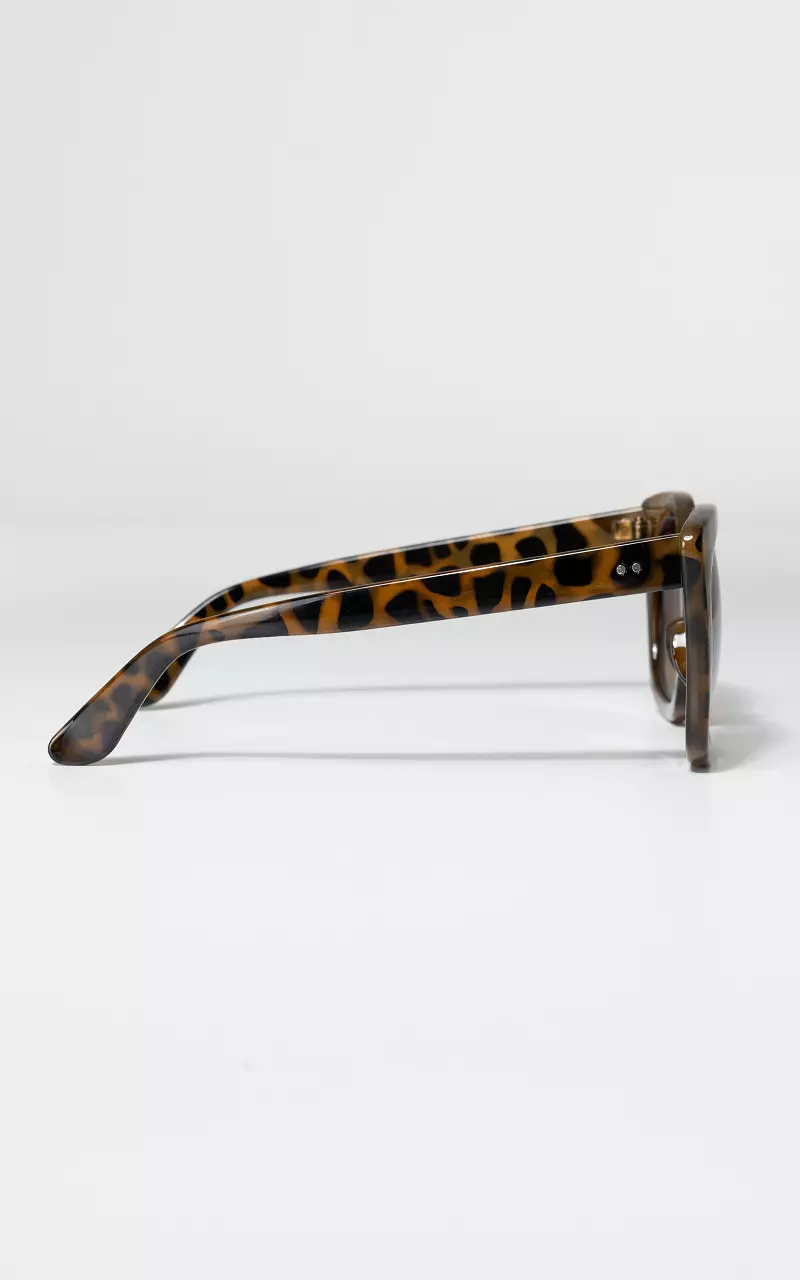 Tortoise brown sunglasses Dark Brown