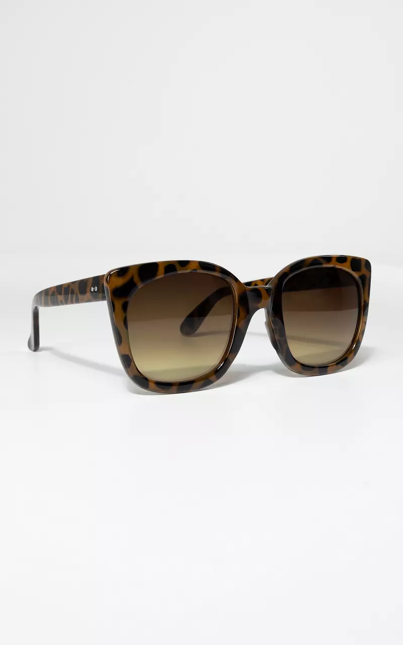 Tortoise brown sunglasses Dark Brown