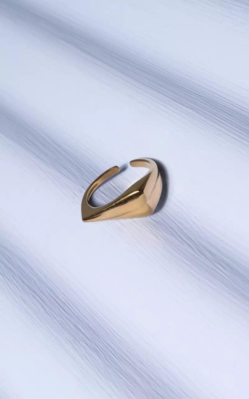 Verstelbare ring van stainless steel Goud