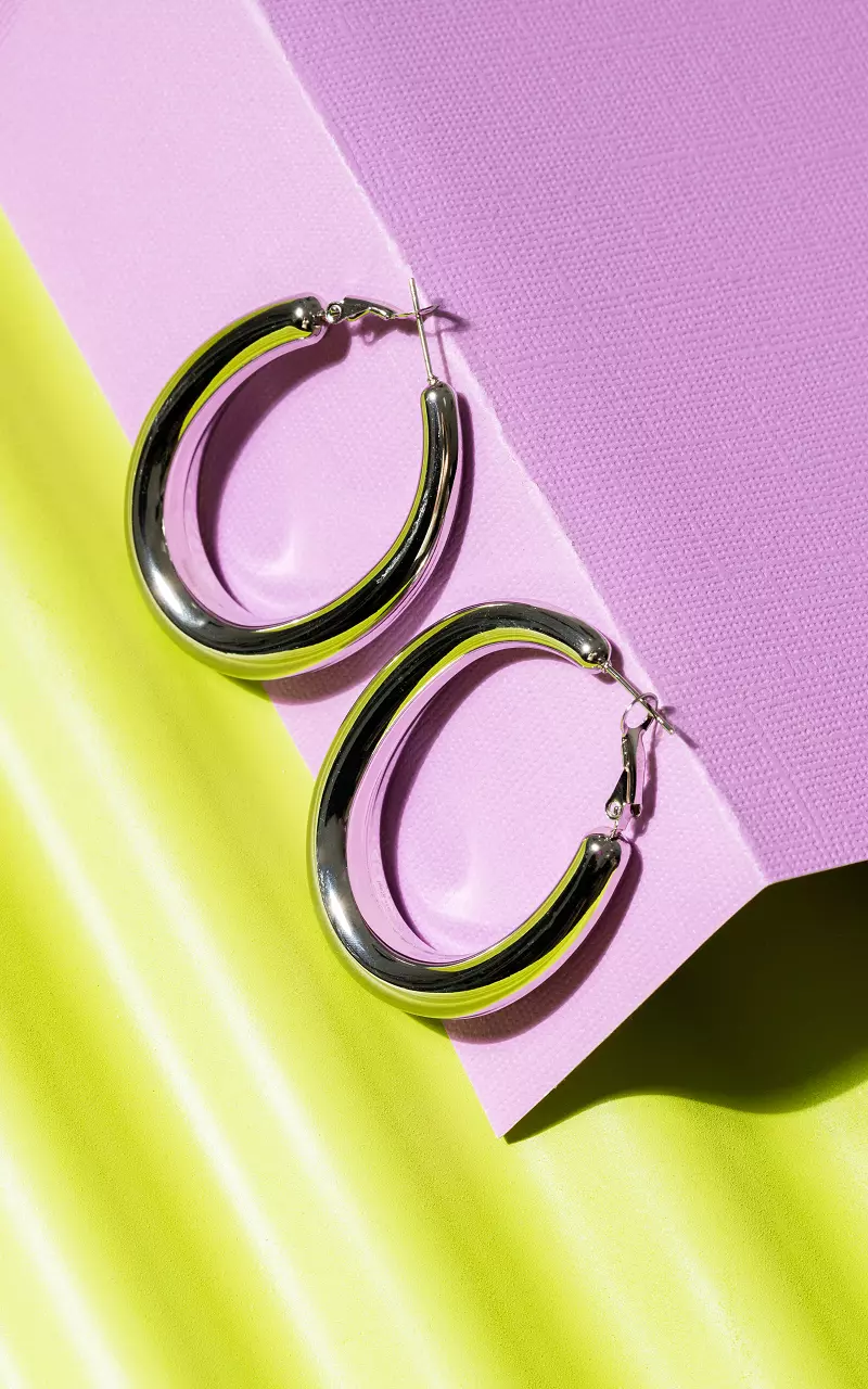 Stainless steel oval earrings Silver