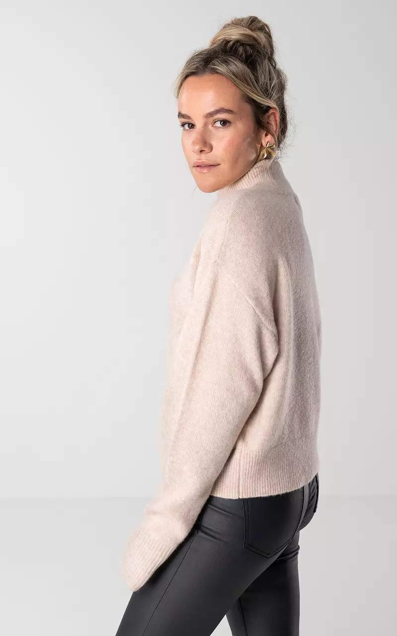 Sweater with turtle neck - Beige