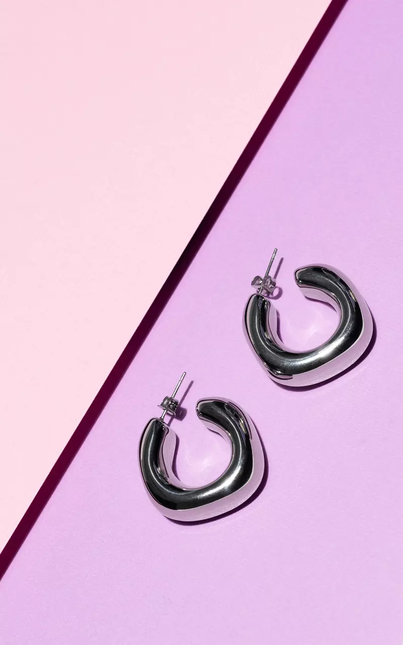 Earrings of stainless steel Silver