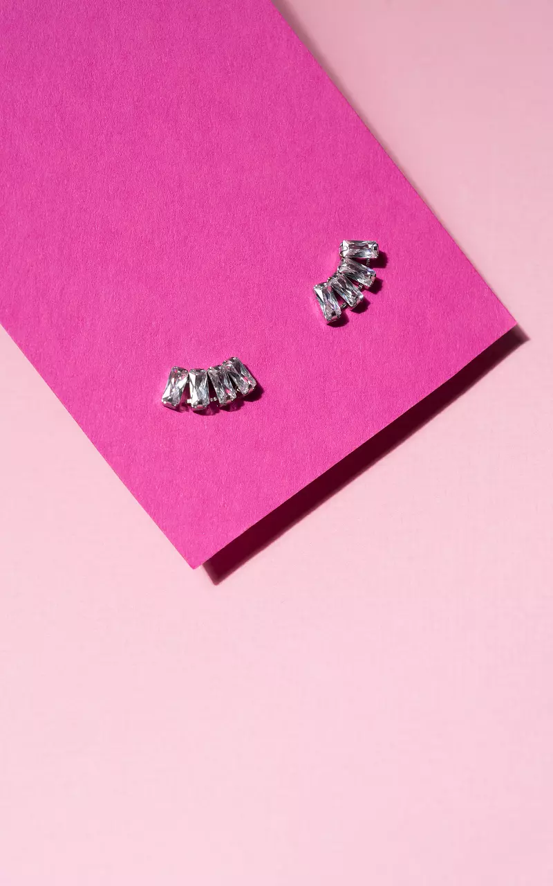 Earrings of stainless steel Silver