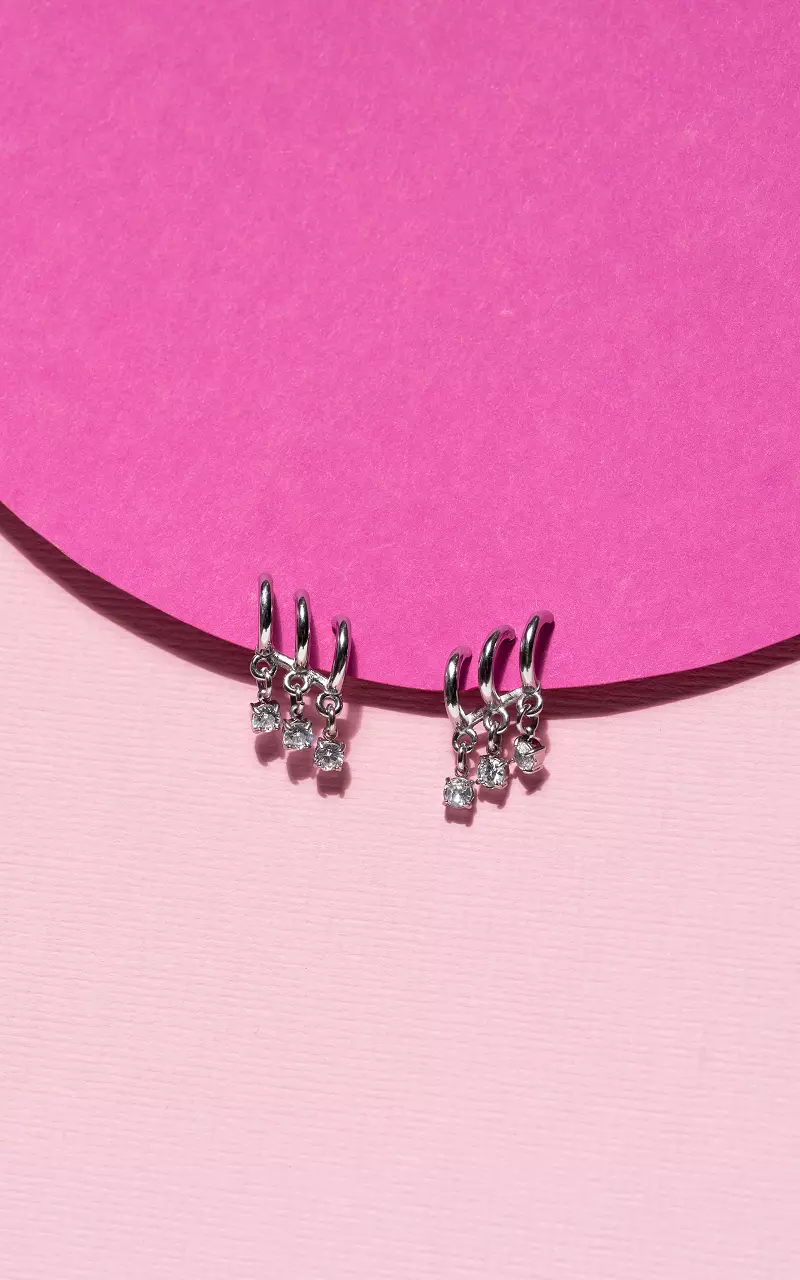 Earrings of stainless steel Silver