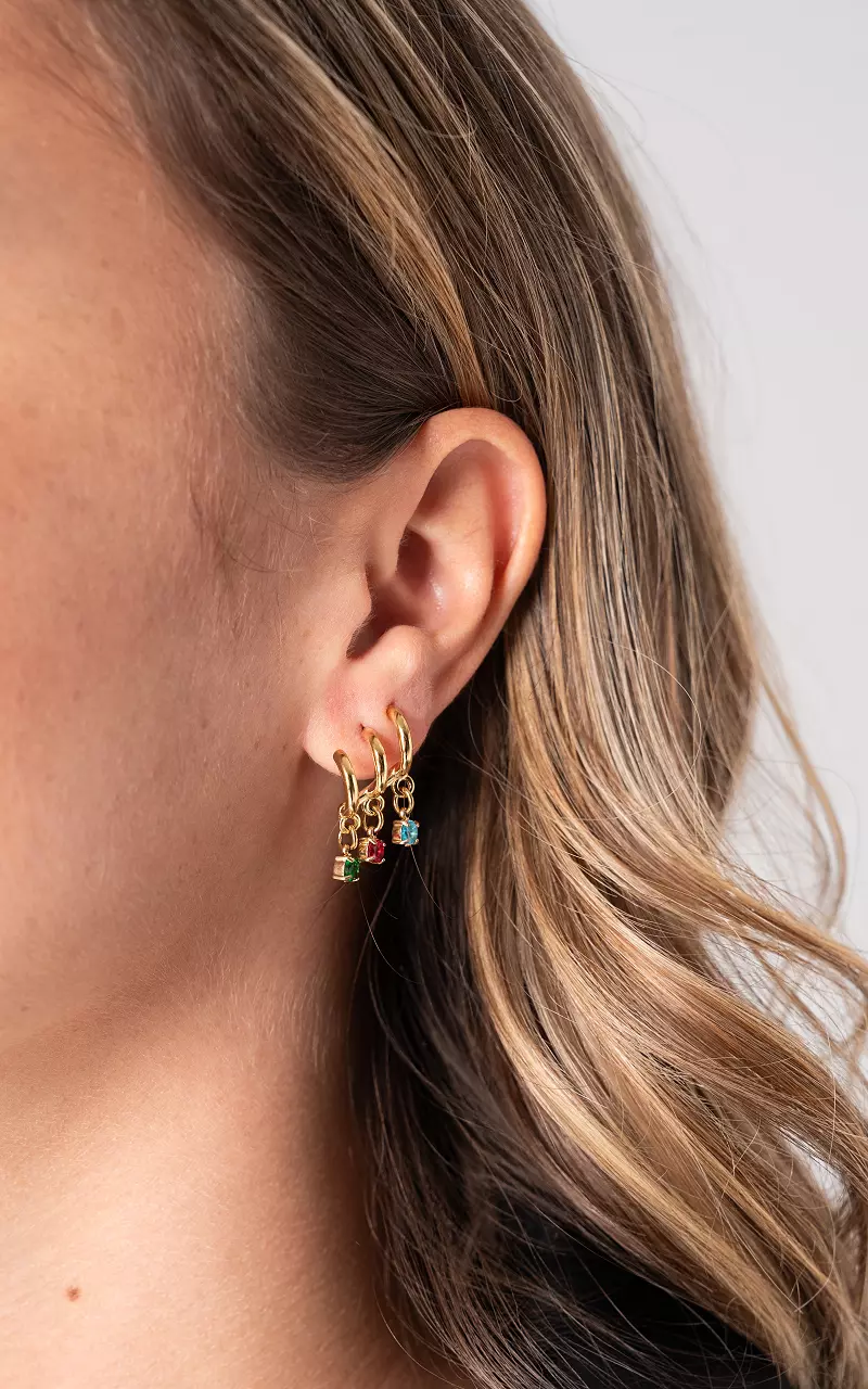 Earrings of stainless steel Gold Multicolor