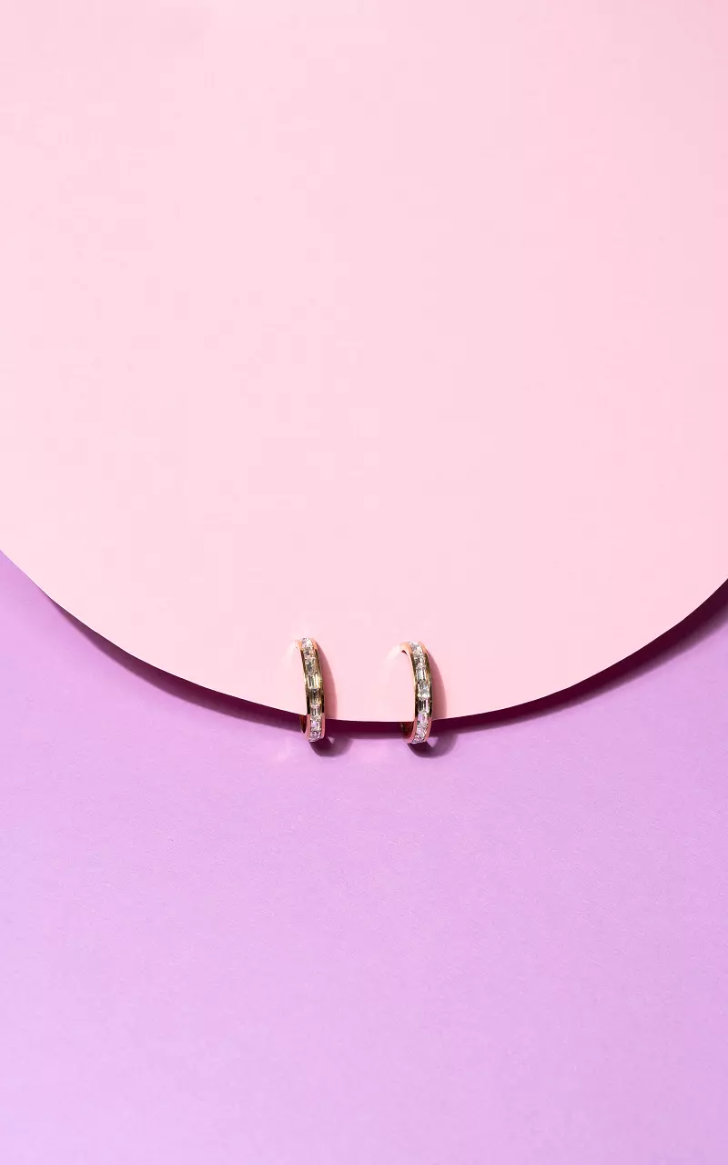 Earrings of stainless steel Gold Silver