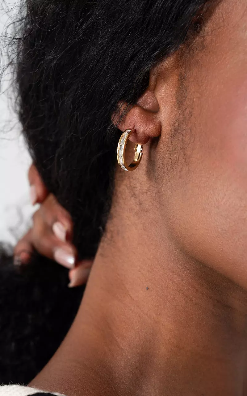 Earrings of stainless steel Gold Silver