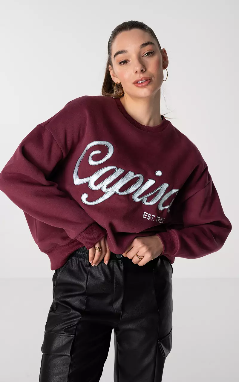 Sweater with round neck Bordeaux