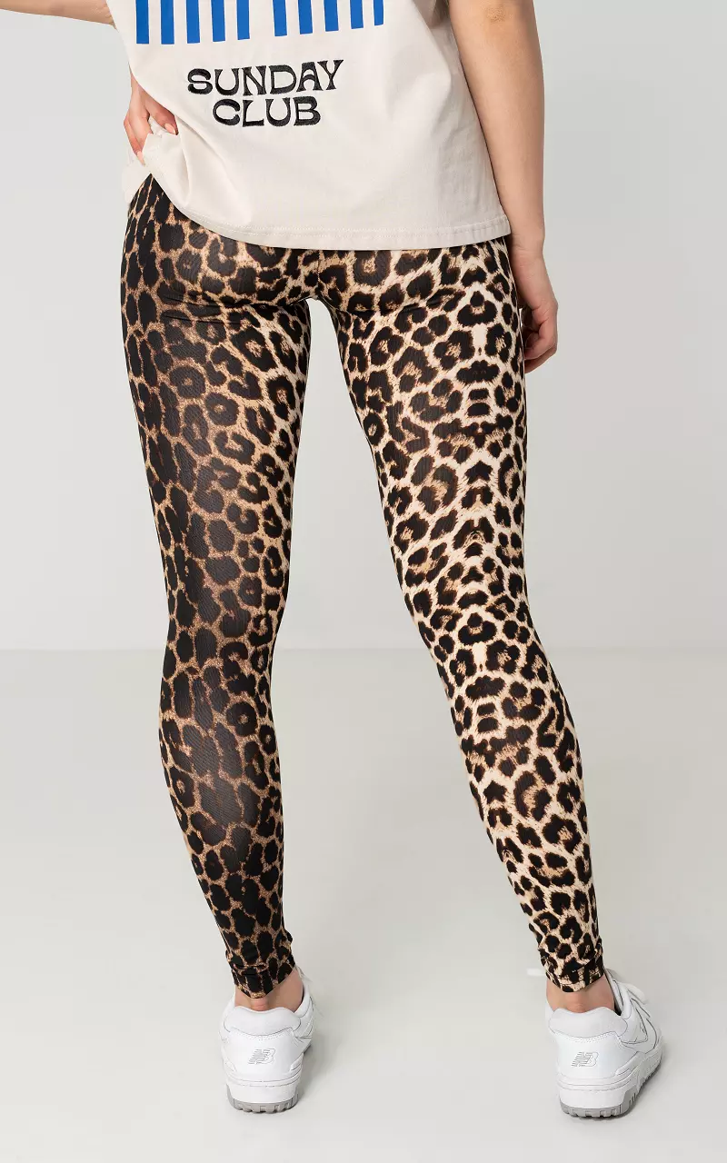 Leopard legging with elasticated waistband - Leopard