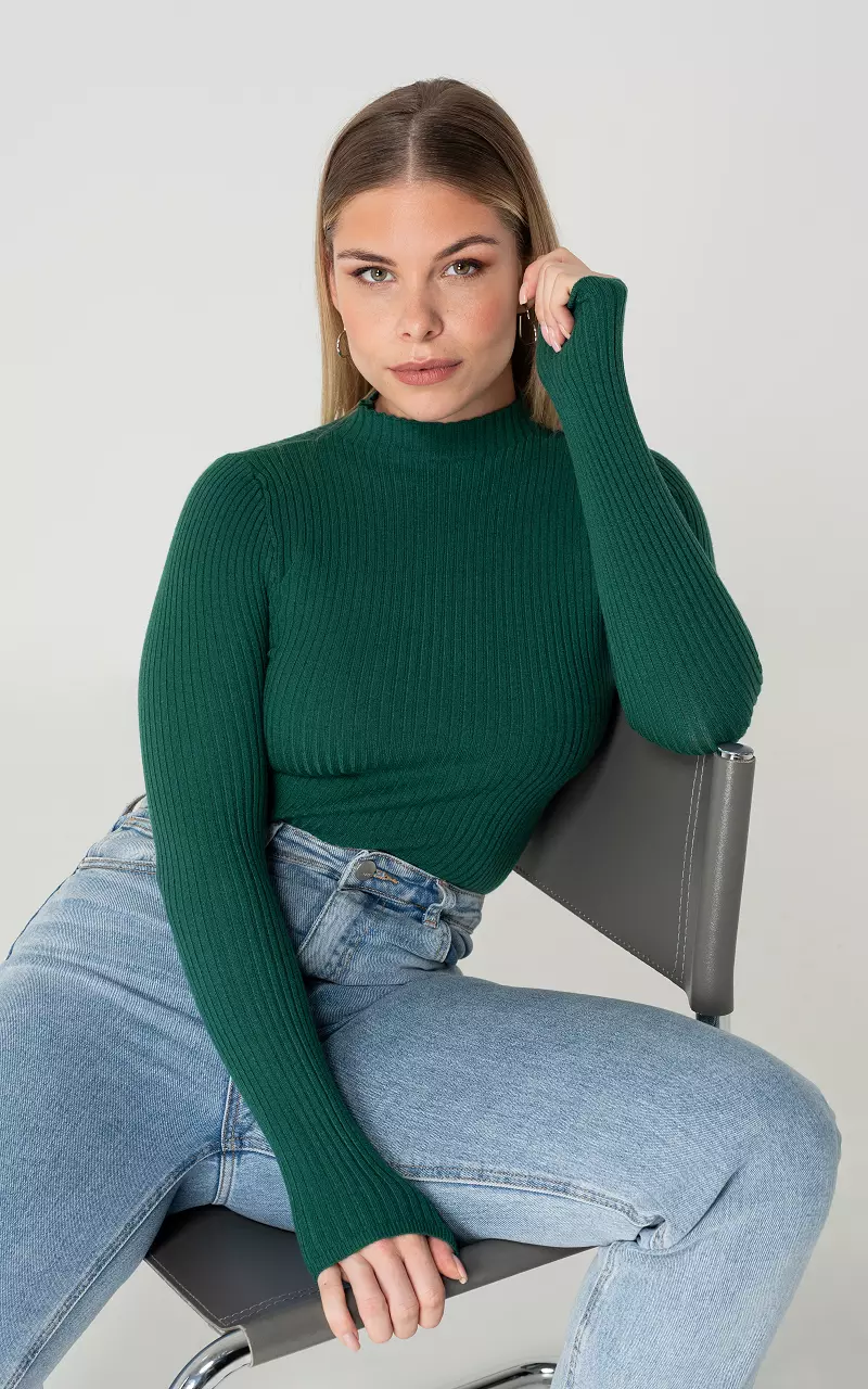 Basic ribbed shirt with turtle neck Green