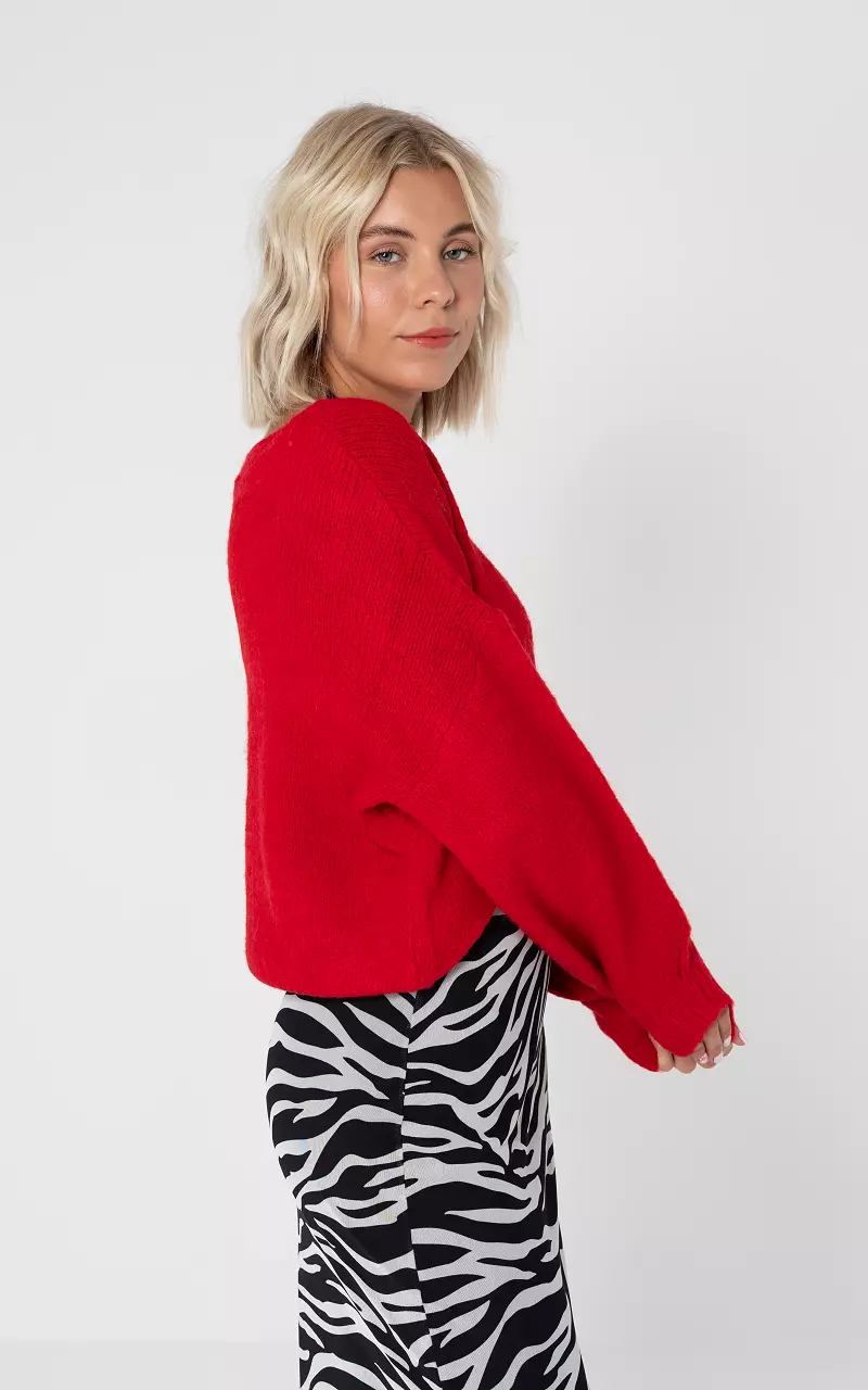 Pullover mit Rundhalsausschnitt Rot