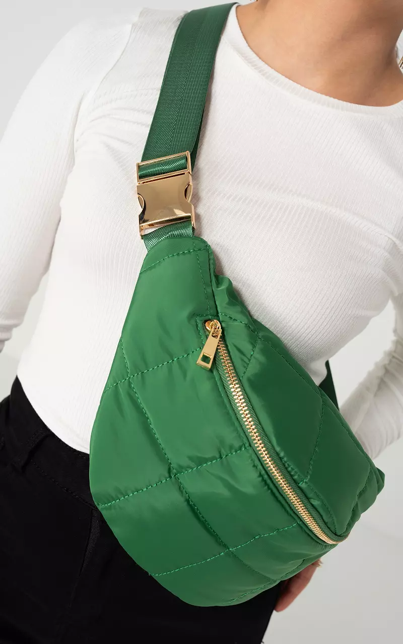 Padded fanny pack with adjustable hip belt Green