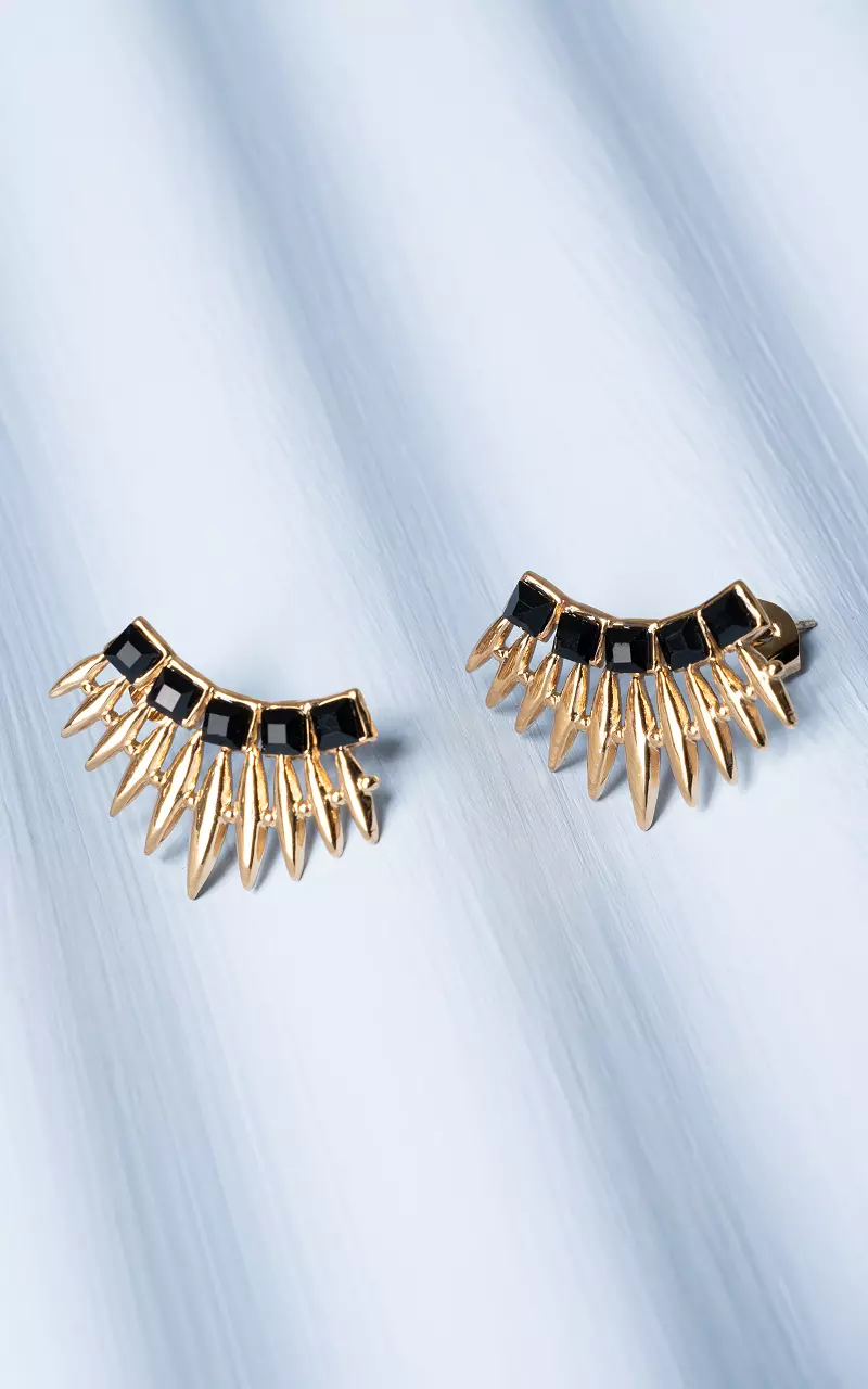 Earrings with stones Gold Black