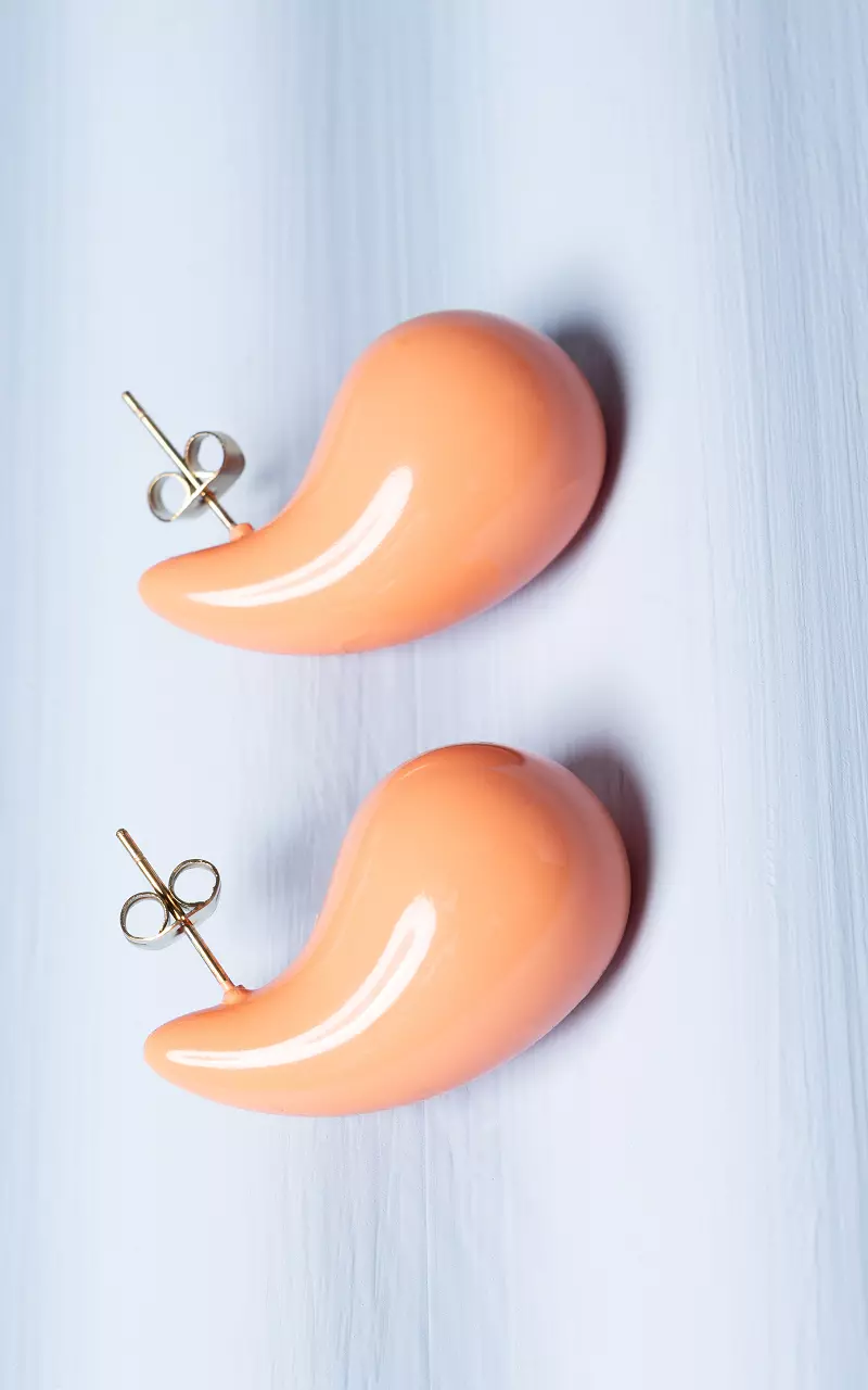 Oorbellen van stainless steel Oranje