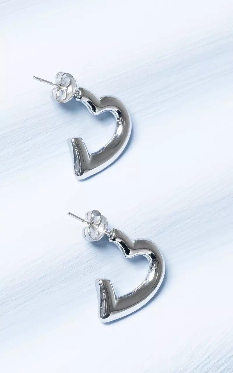 Earrings with heart shape Silver