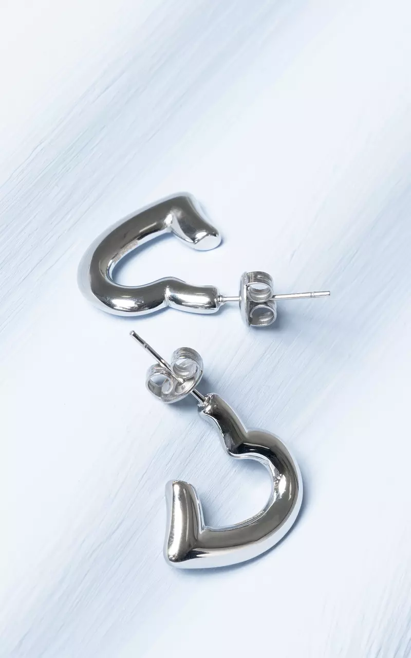 Earrings with heart shape Silver