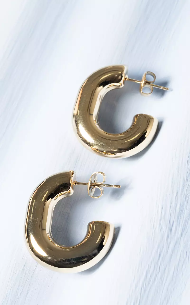 Oval hoop earrings made of stainless steel Gold
