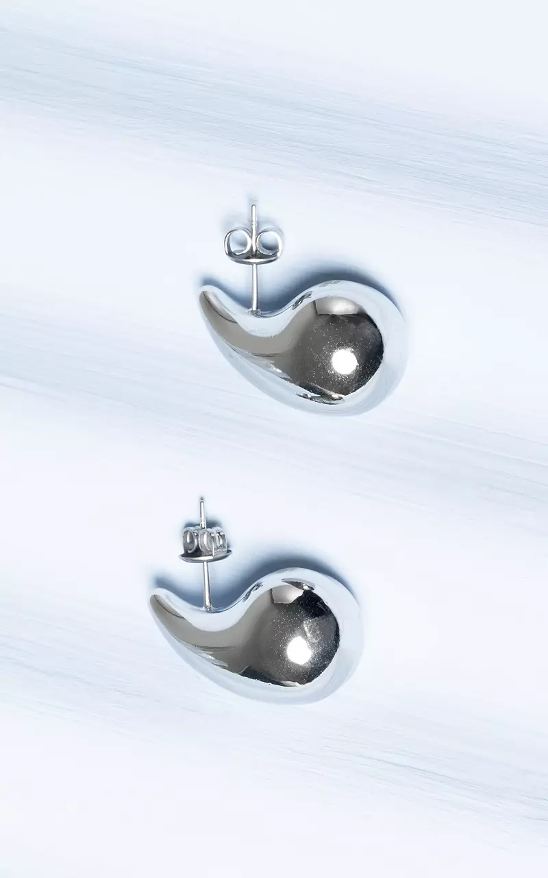 Druppelvormige oorbellen van stainless steel Zilver