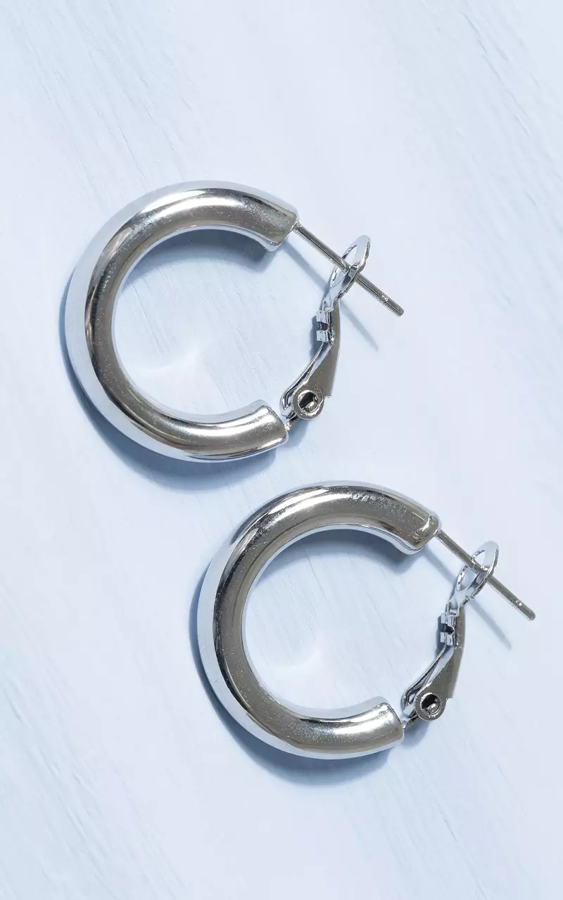 Creolen van stainless steel Zilver