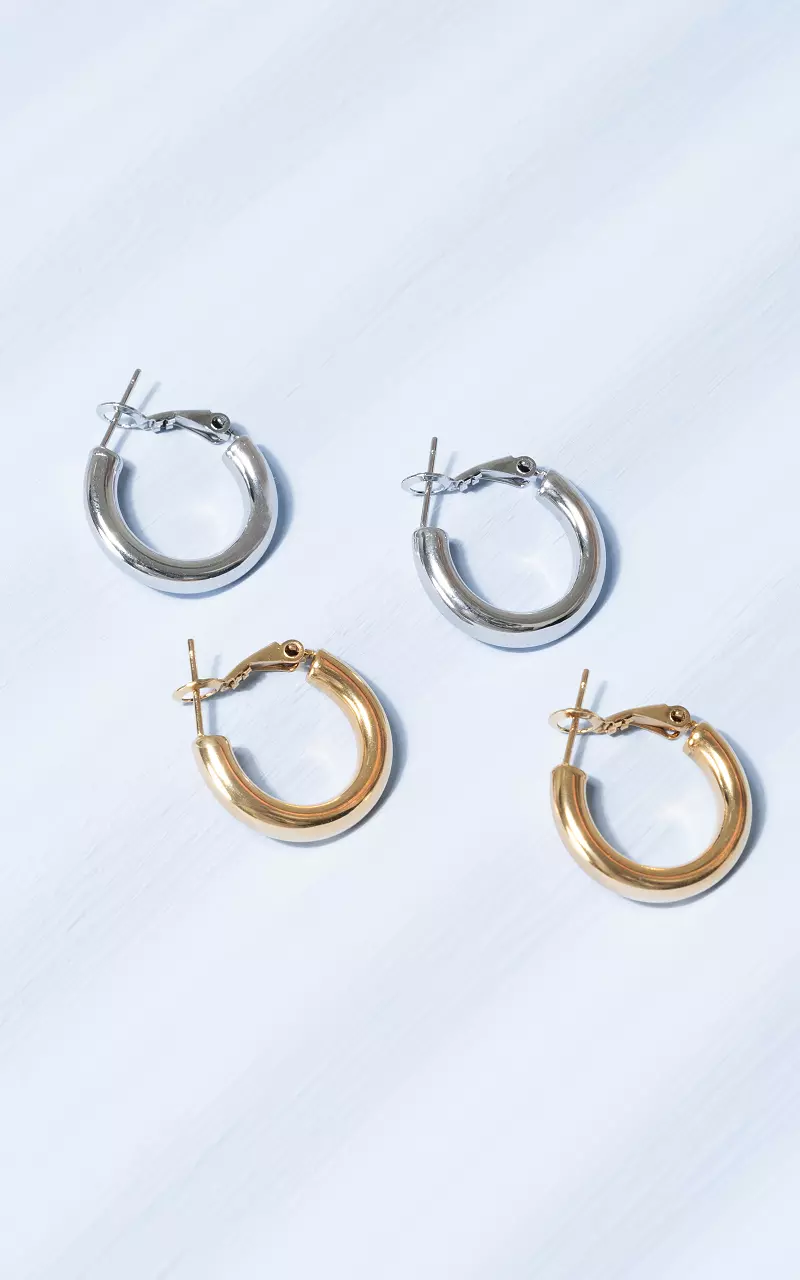 Creolen van stainless steel Zilver