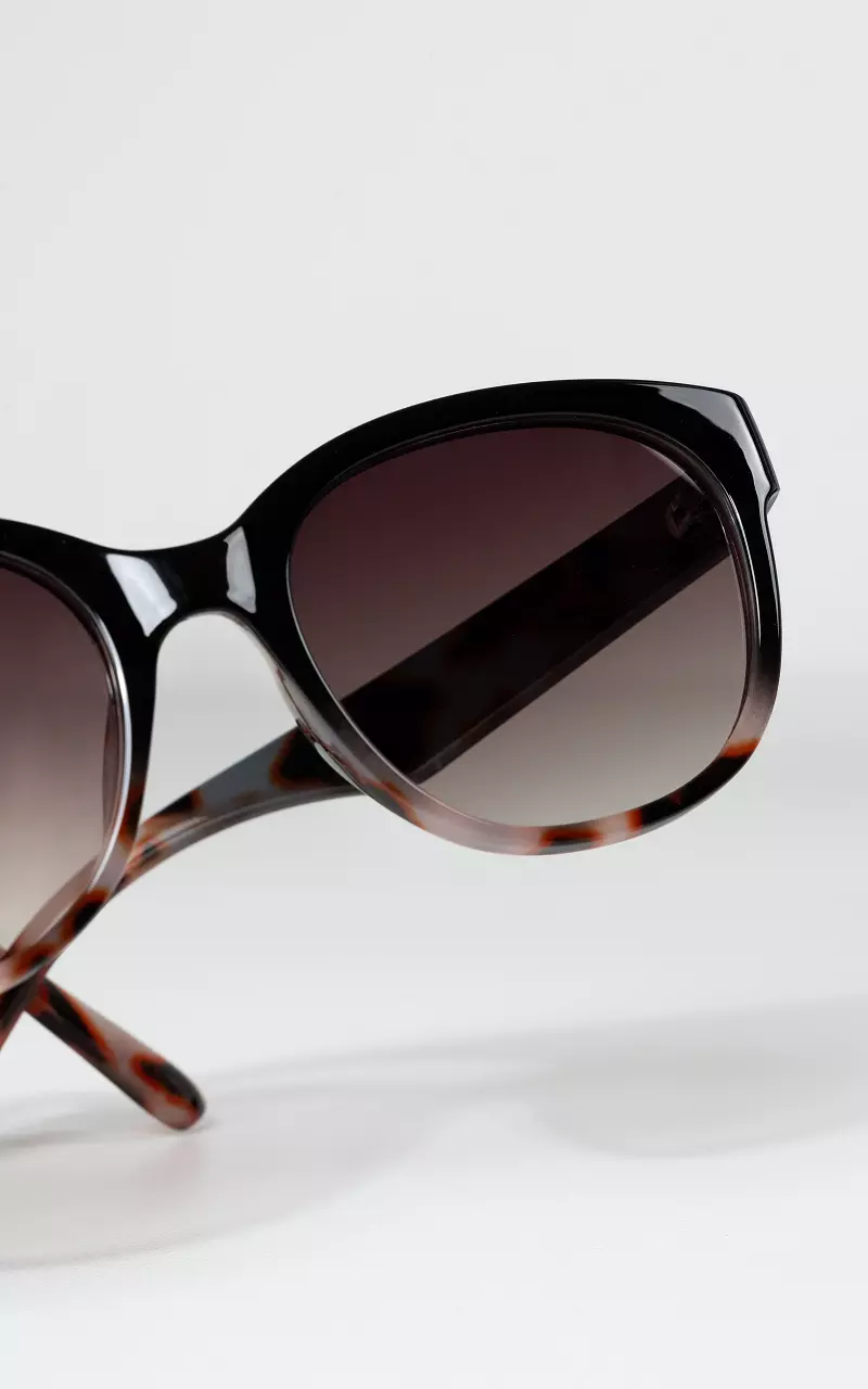 Sunglasses with polarized glasses Dark Brown Light Brown
