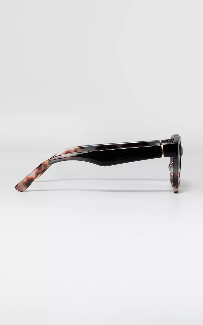 Sunglasses with polarized glasses Dark Brown Light Brown