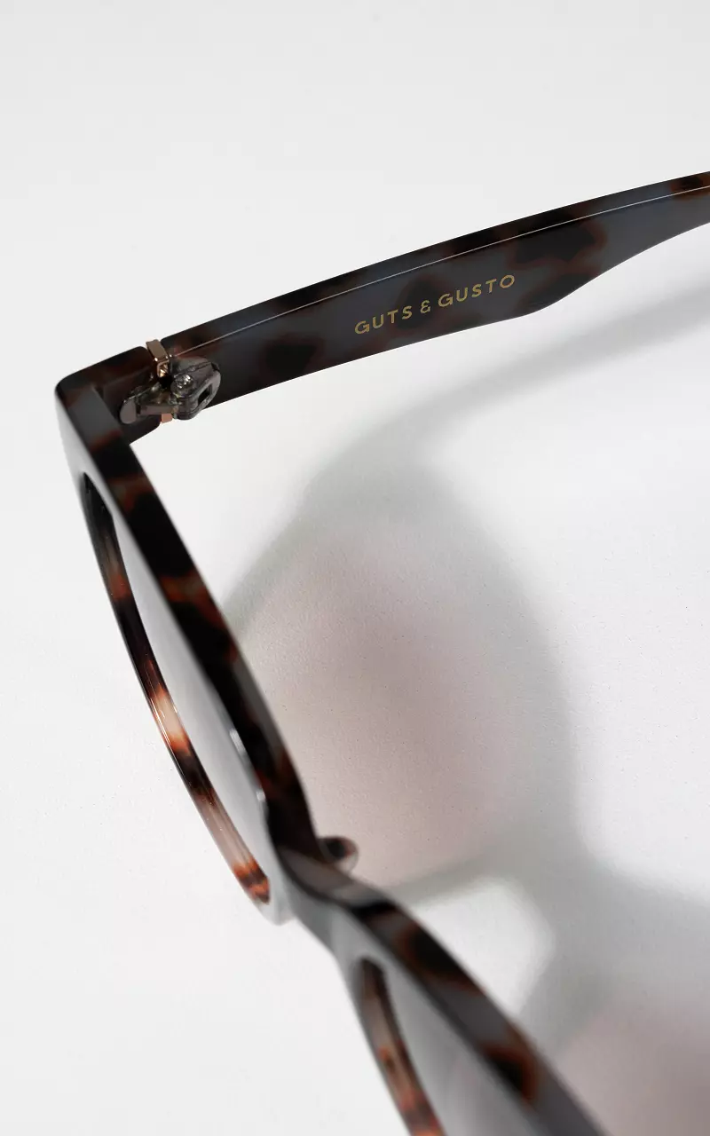 Sunglasses with polarized glasses Dark Brown Light Brown