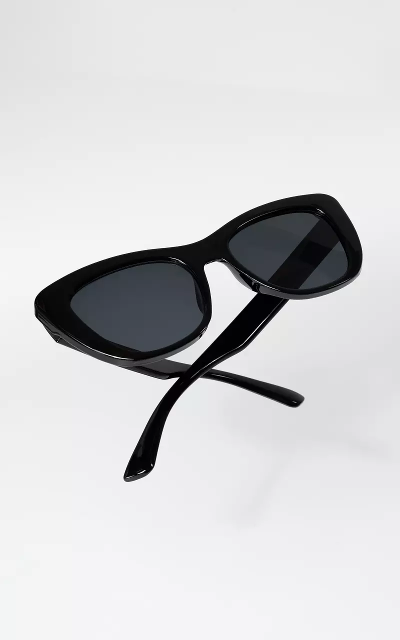 Zonnebril met gepolariseerde glazen Zwart