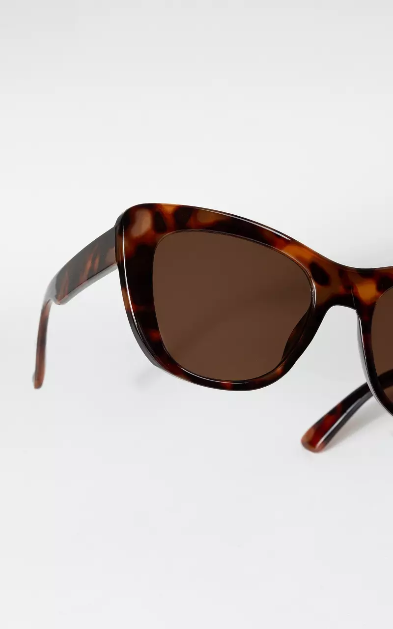 Sunglasses with polarized lenses Dark Brown