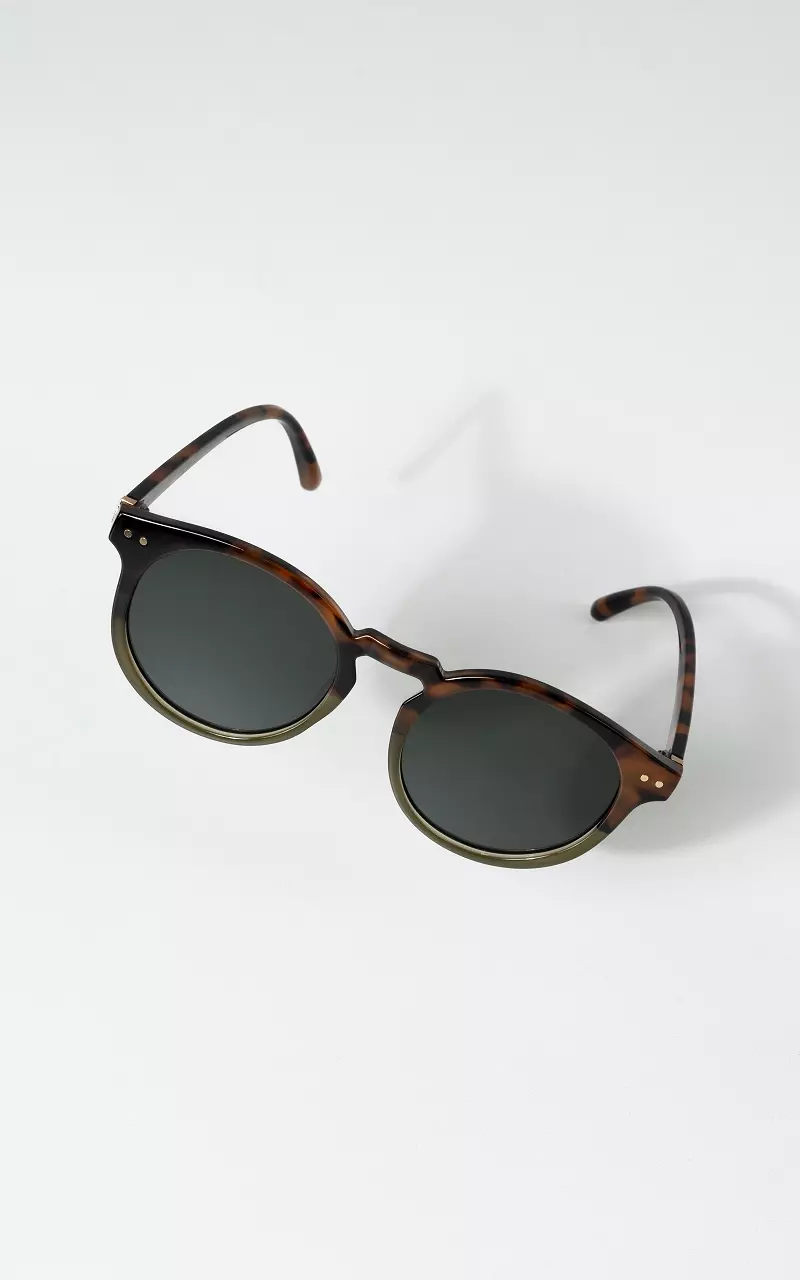 Sunglasses case with polarized lenses Brown Green