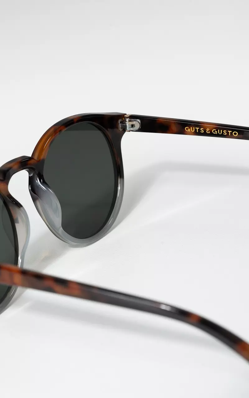 Sunglasses case with polarized lenses Brown Green