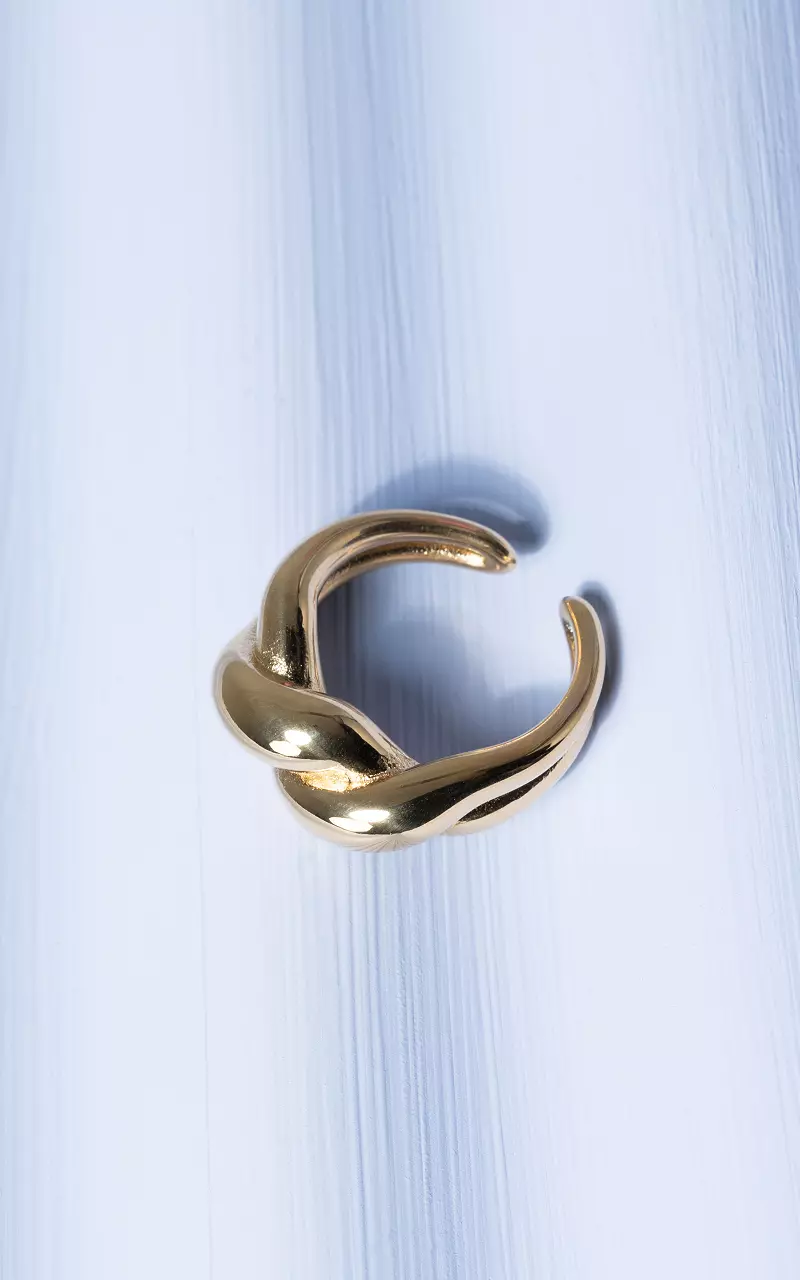 Ring van stainless steel Goud