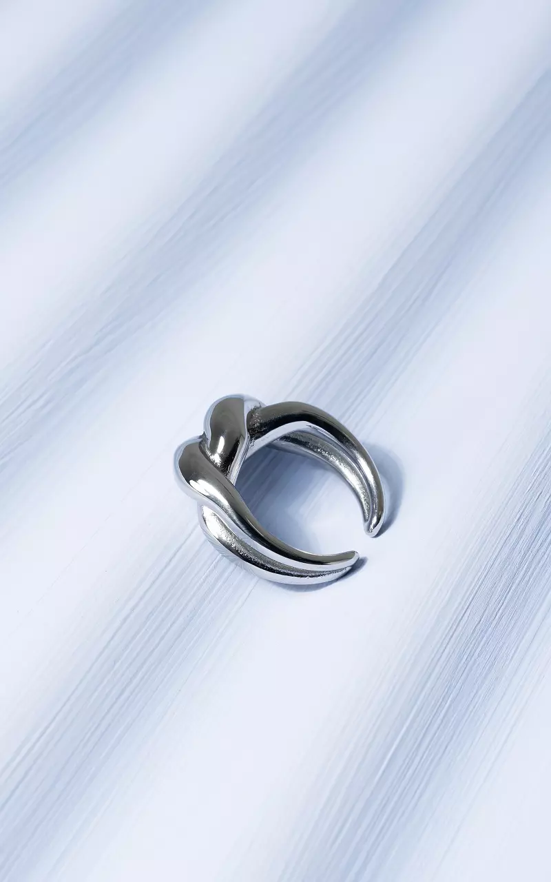 Ring van stainless steel Zilver