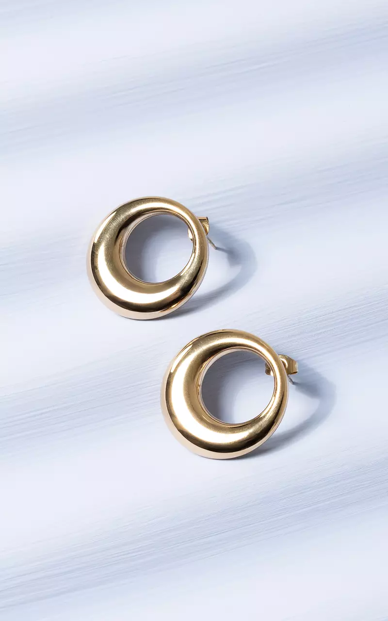 Earrings made of stainless steel Gold