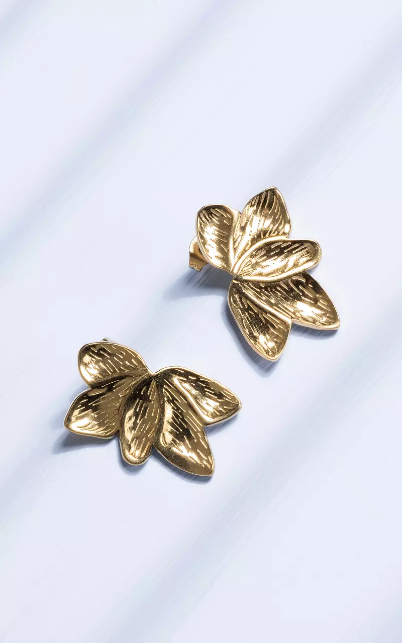 Earrings made of stainless steel Gold