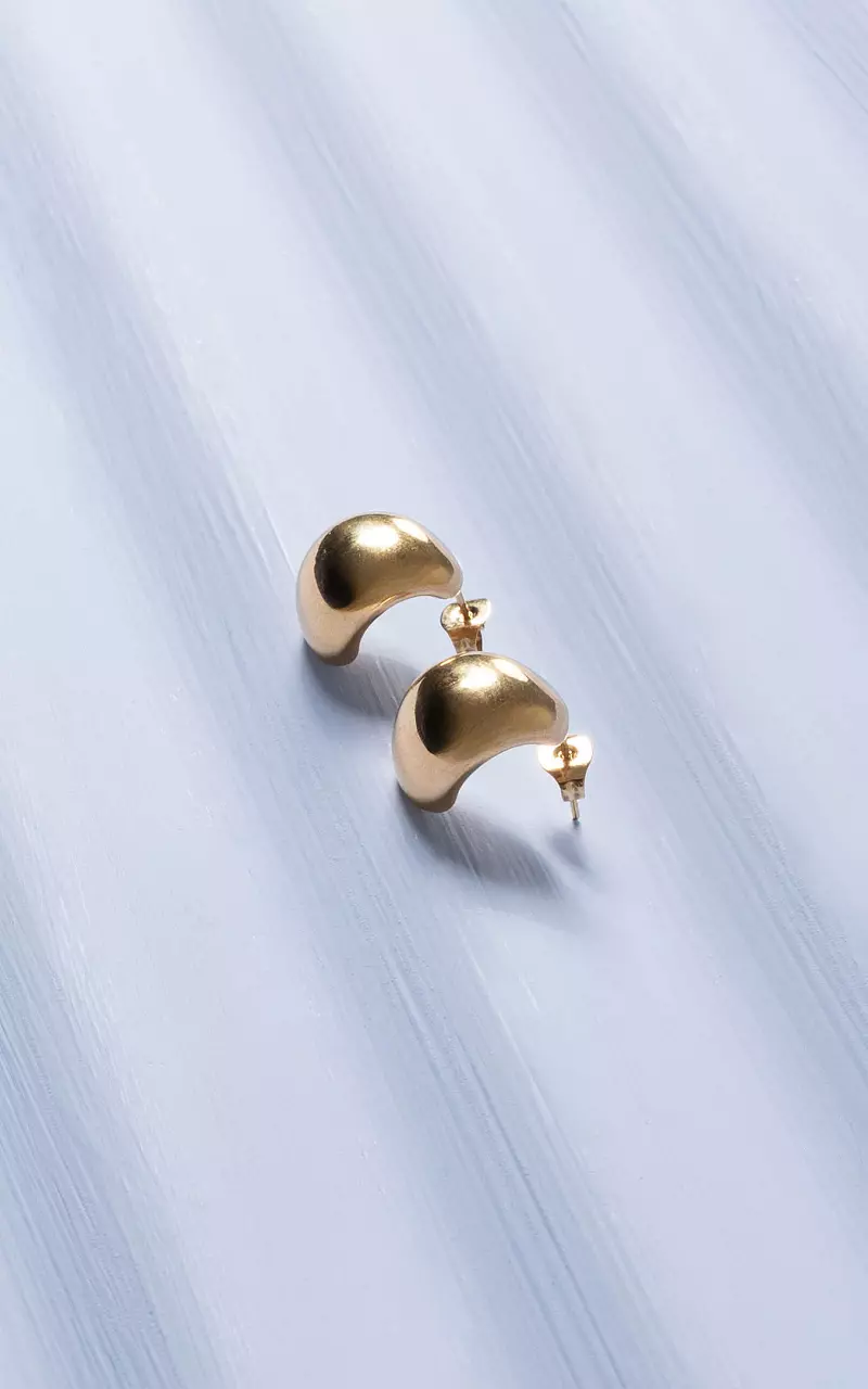 Earrings made of stainless steel Gold