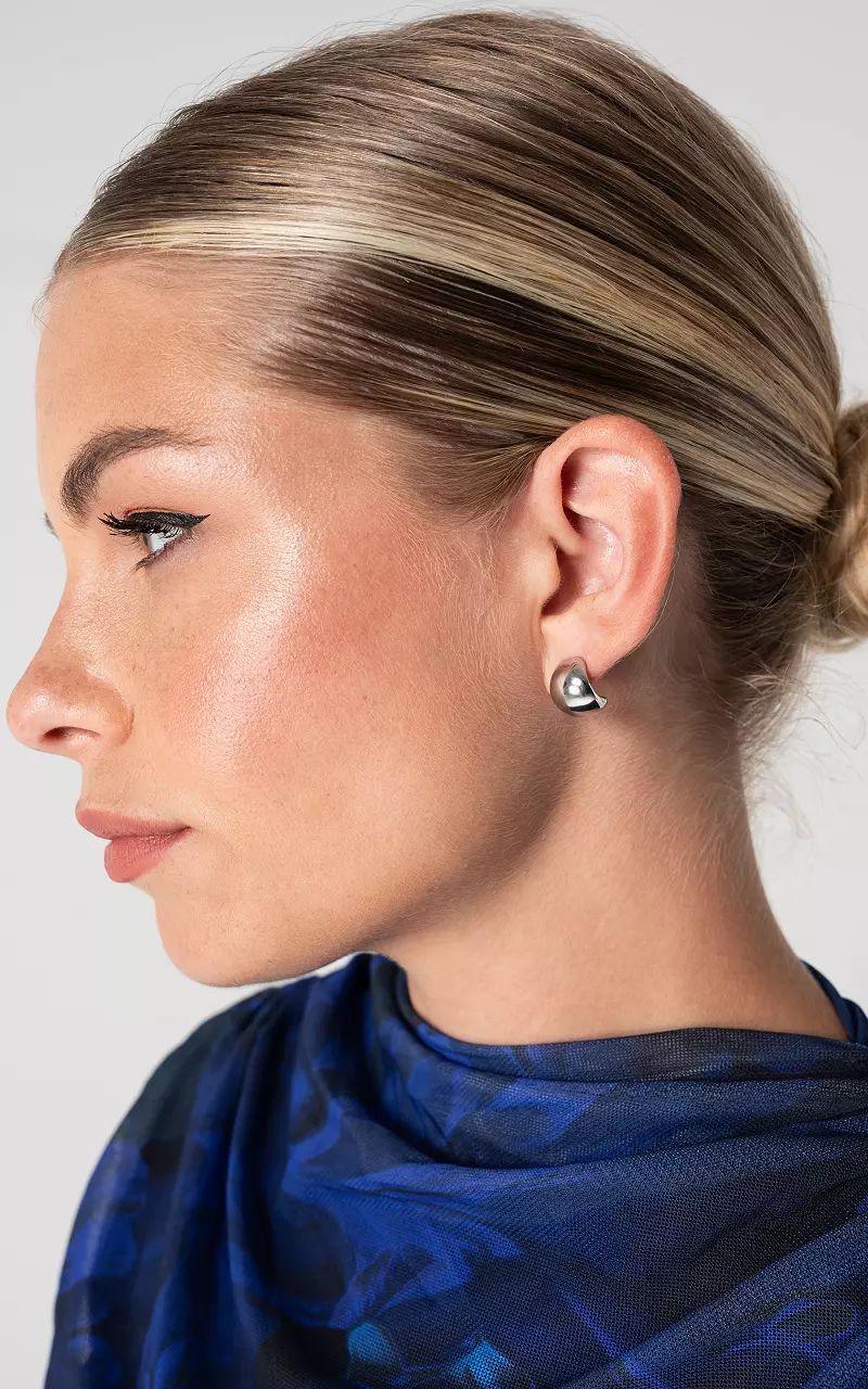 Boucles d’oreilles en acier inoxydable Argent