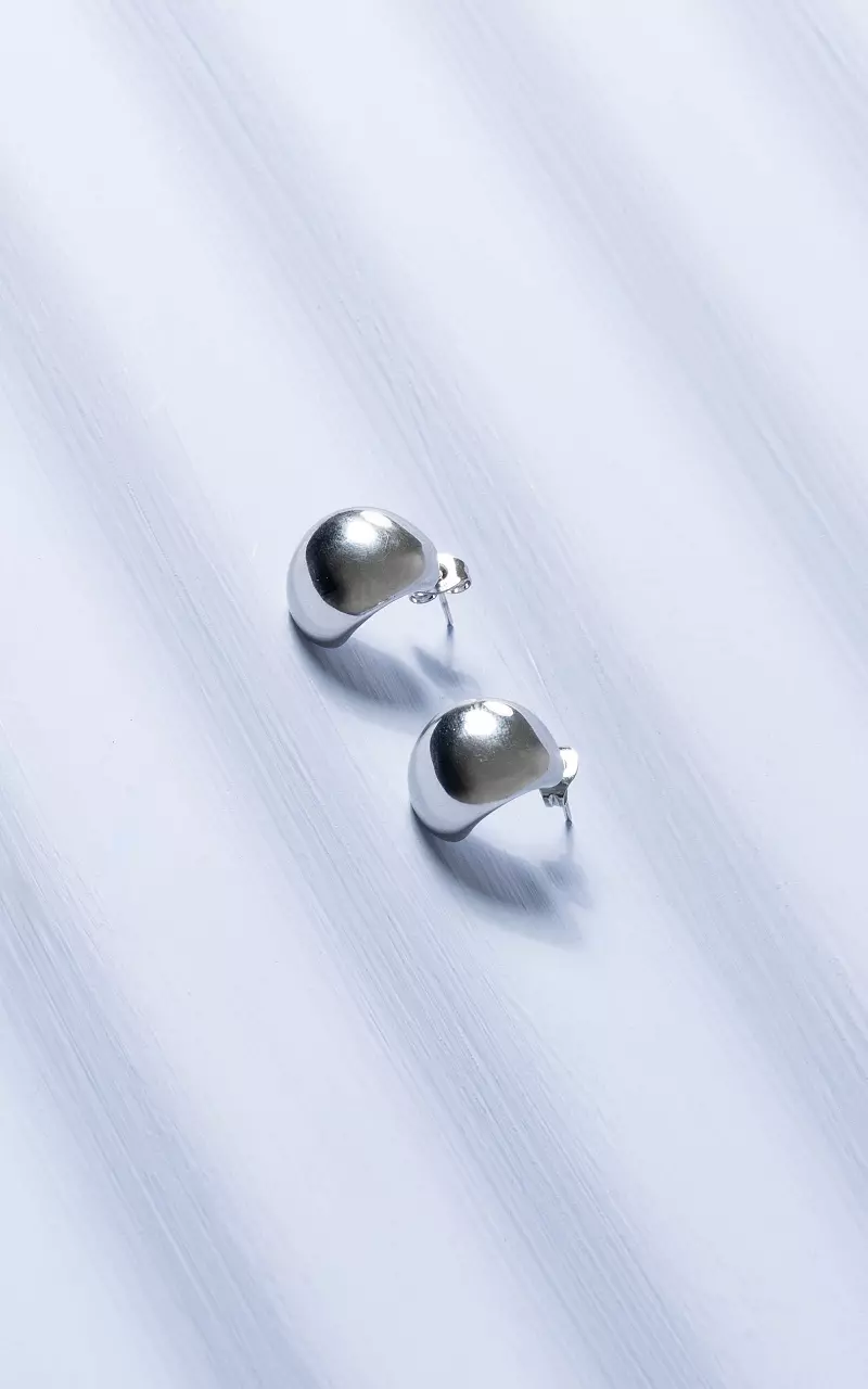 Boucles d’oreilles en acier inoxydable Argent