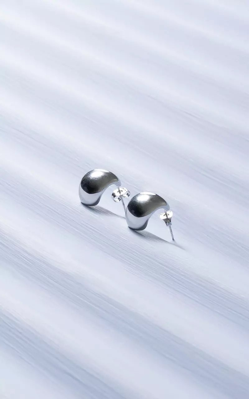 Earrings made of stainless steel Silver