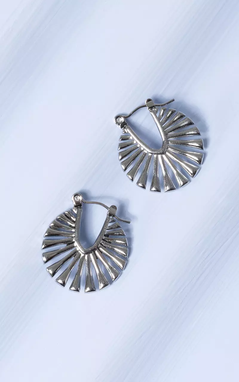 Earrings made of stainless steel Silver