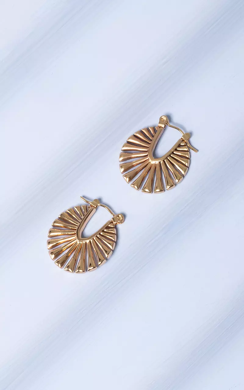 Earrings made of stainless steel Gold